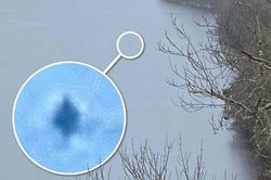 Nữ du khách 54 tuổi tận mắt trông thấy quái vật hồ Loch Ness