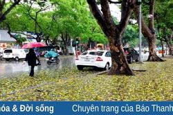 Rét nàng Bân