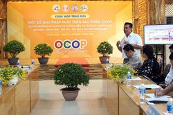 Kết nối phát triển sản phẩm OCOP các tỉnh đưa vào siêu thị Tứ Sơn