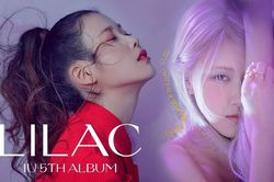 Album 'LILAC' của IU tẩu tán con số 'khủng' trong ngày đầu, liệu có lấy lại kỉ lục từ tay Rosé?