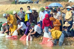 Thả 45 nghìn con cá giống xuống Hồ chứa nước Ẳng Cang