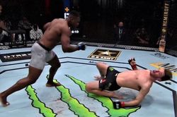 Võ sĩ mất đai vô địch khi bị knock-out