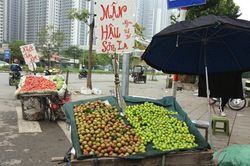Mận hậu đầu mùa giá rẻ nhưng vẫn ế khách