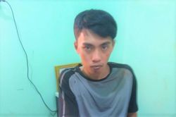 Nam thanh niên đánh bả hàng chục con chó trong đêm