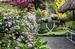 Nhà bạn gái đề nghị mượn tôi số tiền 300 triệu khi vừa gặp mặt