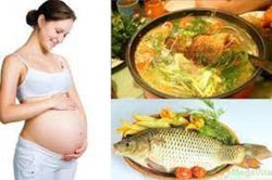 4 món ăn bài thuốc dưỡng thai, an thai hiệu quả nhất