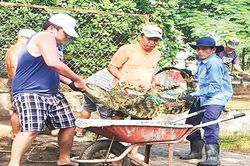 Phát triển bền vững nghề nuôi cá sấu