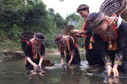 Rêu đá, cực phẩm trời ban từ miền 'đất ngọc'