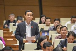 Cần phải xử lý cả cán bộ không làm, chậm làm