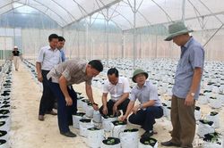 Đổi mới phương thức lãnh đạo, quyết tâm đưa Tân Kỳ phát triển toàn diện