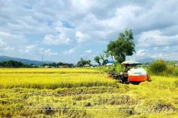 Ðể nâng cao giá trị sản xuất nông nghiệp