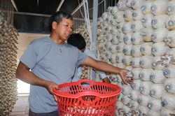 Tâm huyết của người đảng viên hưu trí