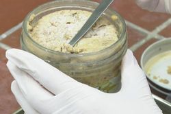 Vụ ngộ độc botulinum ở Bình Dương: Lấy 16 mẫu chả và pate chay để kiểm nghiệm