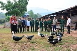 Tập huấn kiến thức kỹ thuật chăn nuôi cho 50 hộ dân ở xã Sín Thầu, huyện Mường Nhé