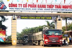 Ngày 12/4, xử 19 bị cáo trong vụ Gang thép Thái Nguyên