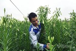 'Nữ hoàng tháng Tư' nảy nở, ông chủ hối hả thu trăm triệu đồng