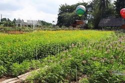 Chồng bênh bồ đánh vợ, tôi đã làm điều khiến anh ta phải hối hận