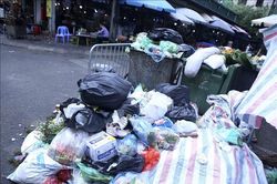 Phạt nguội một cá nhân ở Đà Lạt đổ rác sai nơi quy định
