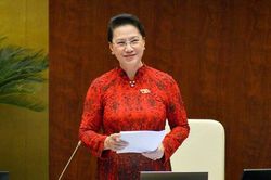Dấu ấn nhiệm kỳ nữ Chủ tịch Quốc hội đầu tiên của Việt Nam