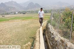 Pi Toong thiếu nước sản xuất