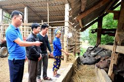 Chuyện cán bộ gần dân ở Kim Quan