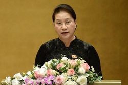 Trình miễn nhiệm Chủ tịch Quốc hội, Chủ tịch Hội đồng bầu cử quốc gia