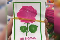 Dân mạng 'thương xót' quý ông được vợ phát phiếu bé ngoan đổi tiền tiêu vặt