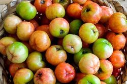 Loại quả có lượng vitamin C cao gấp 100 lần cam chanh giúp chị em đẹp da, giữ dáng lại phòng nhiều bệnh tật