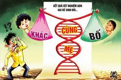 Chuyện sinh đôi khác cha qua lý giải y học