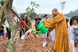 Học viện Phật giáo Việt Nam hưởng ứng Tết trồng cây