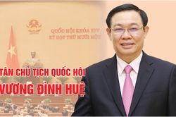 Chân dung tân Chủ tịch Quốc hội Vương Đình Huệ