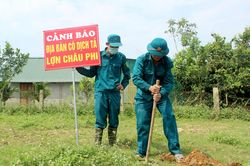 Một huyện của Nghệ An tiêu hủy gần 150 tấn lợn bị dịch tả Châu Phi