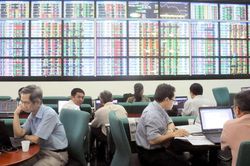Chứng khoán không dành cho nhà đầu tư tay ngang: Cú sốc của nhà đầu tư F0