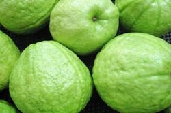 Ăn ổi thường xuyên, điều kỳ lạ này sẽ đến với chính cơ thể của bạn!