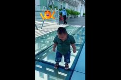 Clip: Bé trai bất động khi nhận ra mình đứng trên cầu kính