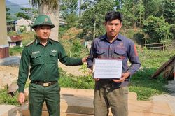 Liên tiếp bắt giữ các vụ vận chuyển gỗ lậu trên địa bàn huyện A Lưới, Thừa Thiên Huế