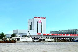 Lợi nhuận giảm, dòng tiền kinh doanh âm, cổ phiếu Sao Mai Group... ảm đạm