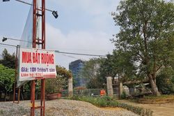 Hai bộ cùng loạt địa phương vào cuộc cơn sốt đất 'điên đảo' khắp nơi