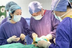 Lên rừng chặt cây, người phụ nữ bị mảnh gỗ đâm xuyên mắt, sọ não