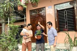 Hiệu ứng từ loạt bài cảnh báo về lan đột biến