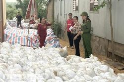 Tiêu hủy gần 500 tấn hải sản sau sự cố Formosa