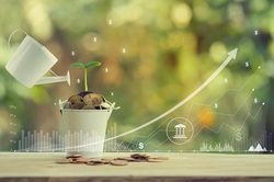 Cần thận trọng trước những 'cơn sốt' đất