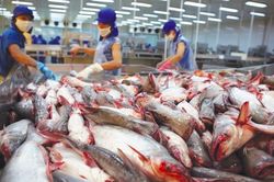Tín hiệu tốt từ Trung Quốc, xuất khẩu thủy sản tháng 4 dự báo tăng 10%