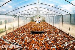 Tác giả trẻ Chí Trung: Tìm cái đẹp trong nhiếp ảnh