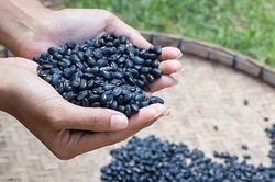 Đậu đen có thực sự là 'thần dược'?