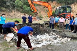 Tìm nguyên nhân thủy sản vùng ven biển Thanh Hóa bị chết
