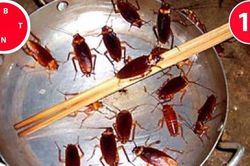 Không hóa chất, bằng cách này bạn dễ dàng 'thổi bay' gián khỏi nhà