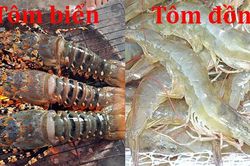 Bí quyết chọn tôm tươi ngon 'bách phát bách trúng' mùa đi biển, chỉ cần 2 giây là biết tôm bơm hóa chất không