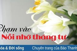 Chạm vào nỗi nhớ tháng tư