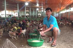 Giảm thiểu rủi ro trong sản xuất nông sản, thực phẩm: Đẩy mạnh phát triển chuỗi liên kết